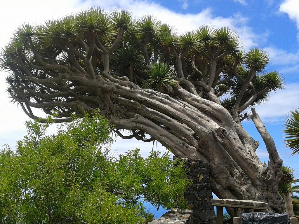 La Palmerita Vacacional Los Llanos De Aridane Luaran gambar