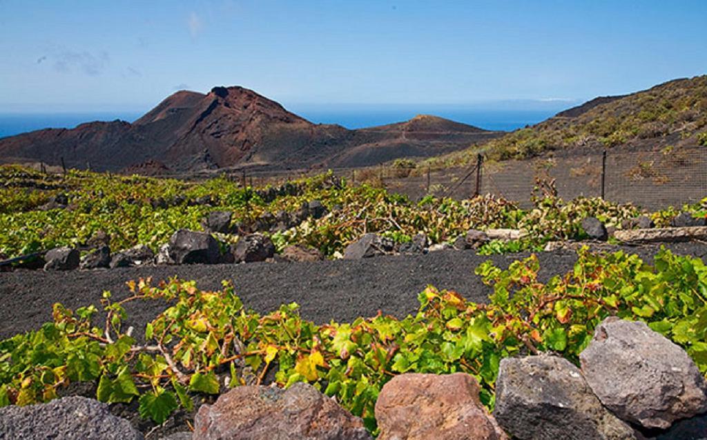 La Palmerita Vacacional Los Llanos De Aridane Luaran gambar